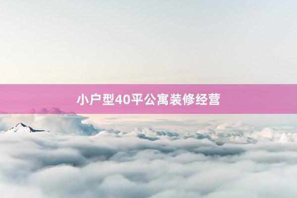 小户型40平公寓装修经营