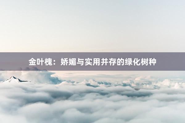 金叶槐：娇媚与实用并存的绿化树种