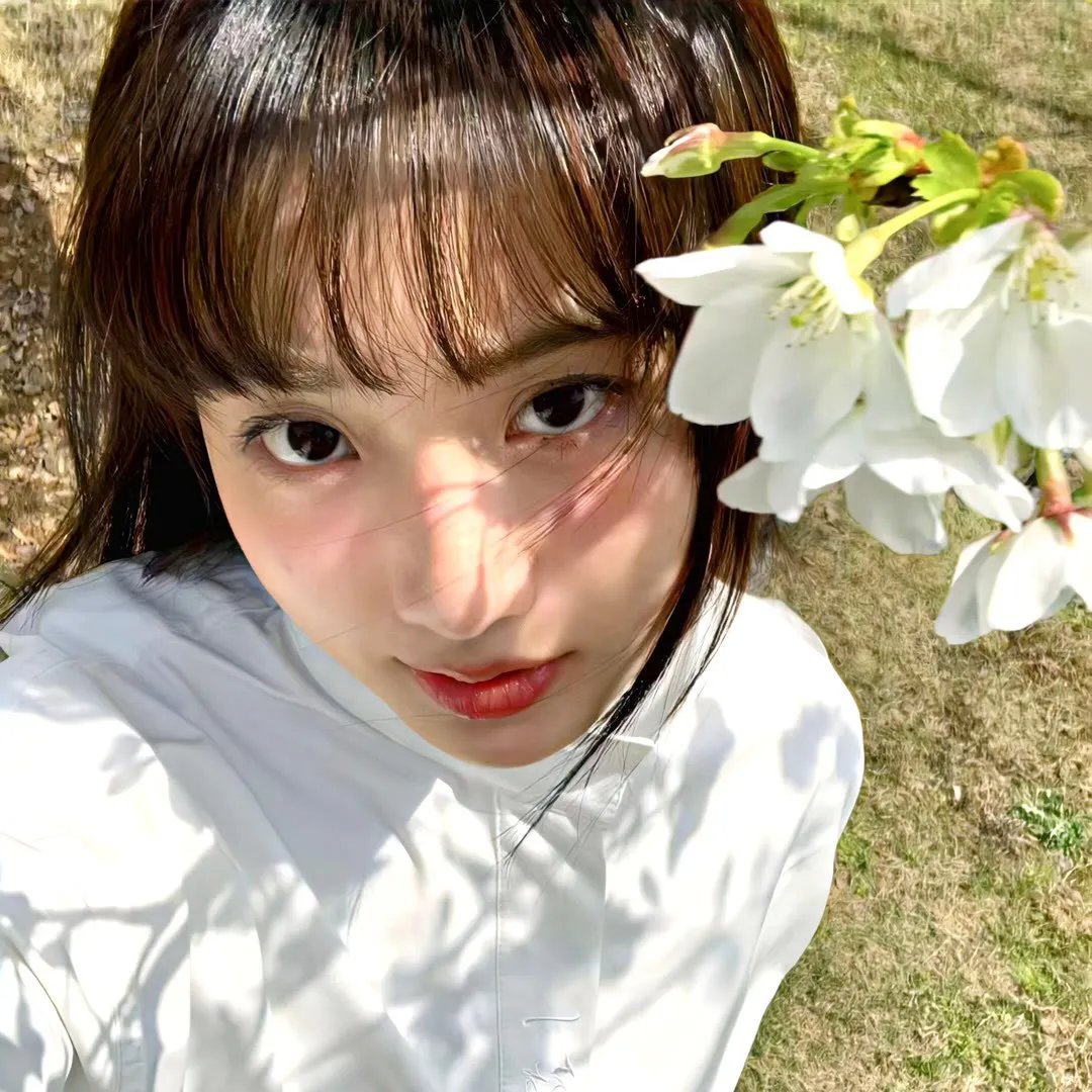 黑木